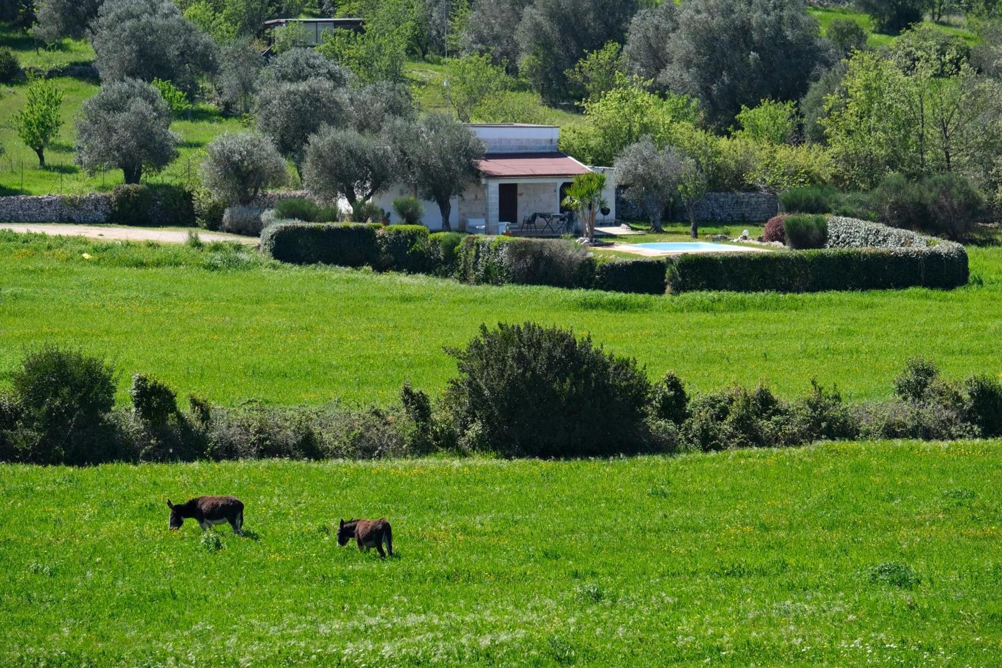 Terra Sessana Ville E Trullo Con Piscina Privata Остуни Екстериор снимка